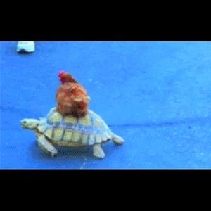 Meet your Posher, Sara